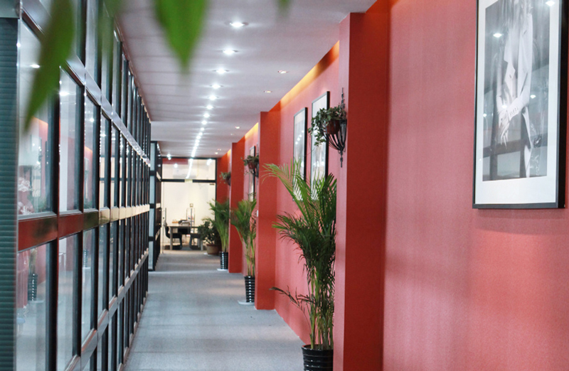 Development-History2